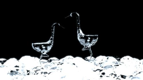 Ice birds preview image