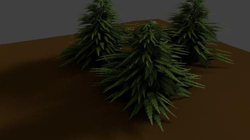 Cycles Pflanze preview image