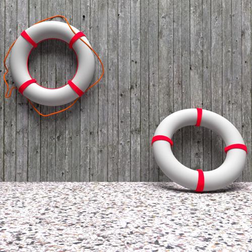 Life Belts preview image