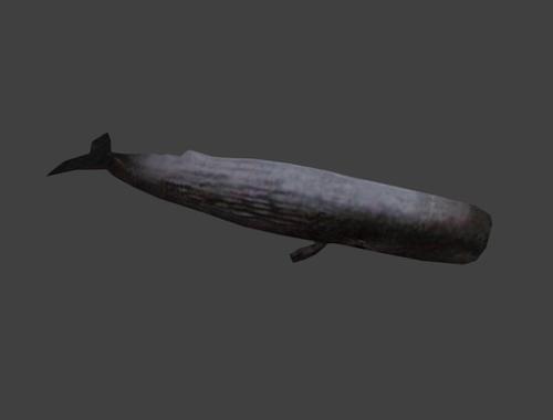 Cachalot preview image