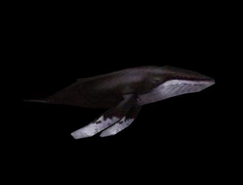 Megaptere preview image