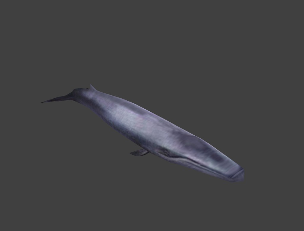Blue Rorqual preview image 1