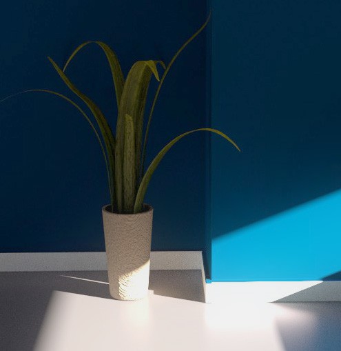 the plant preview image 1