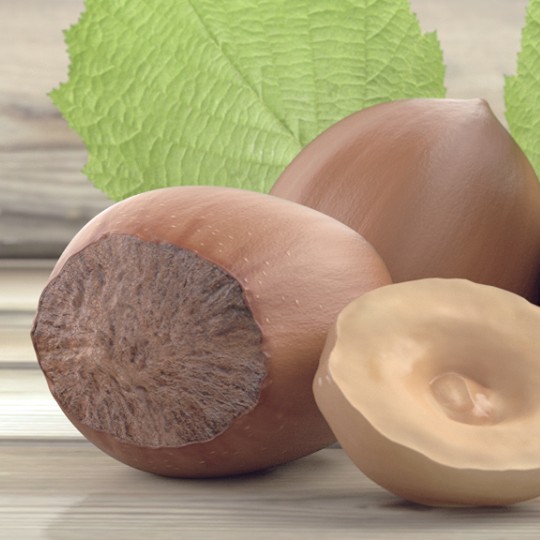 Hazelnut preview image 1