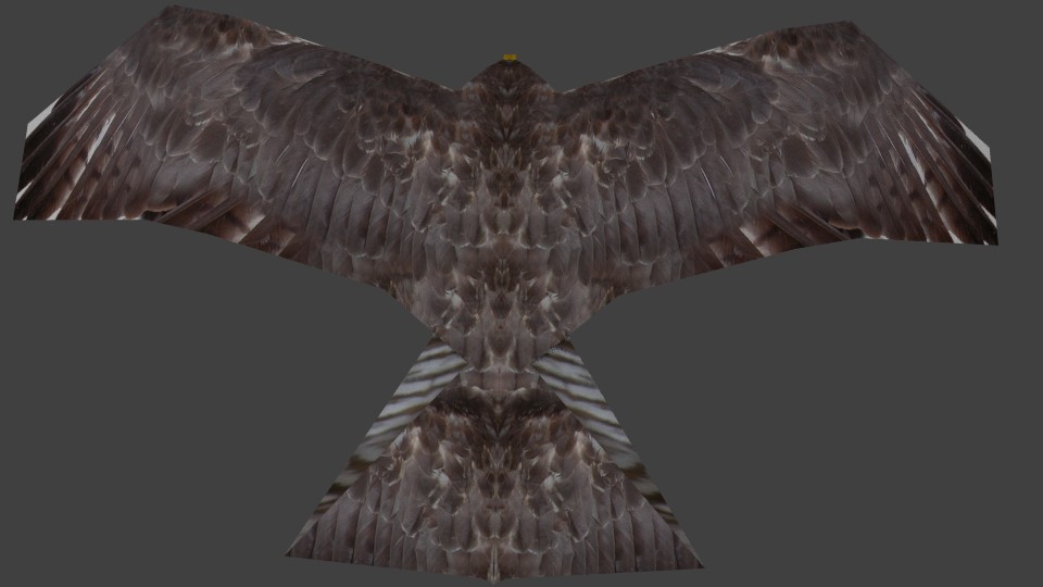 Hawk preview image 1