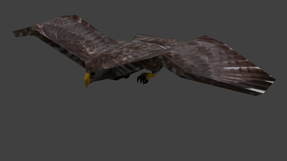 Hawk preview image 4