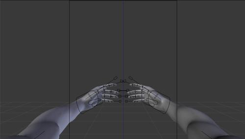 Basic fps rig preview image