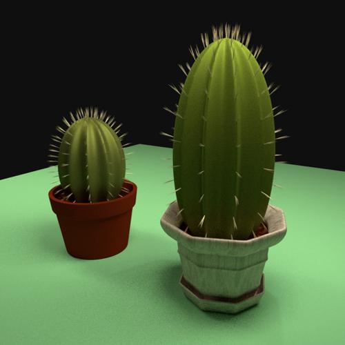 Cactus preview image
