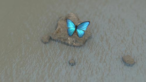 Butterfly preview image